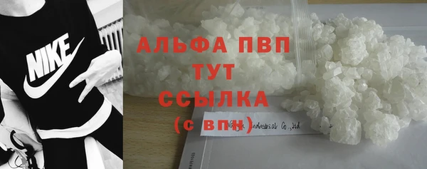 твердый Медногорск