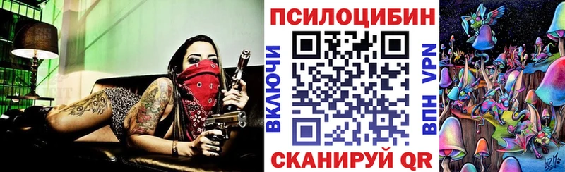 Псилоцибиновые грибы Psilocybe  Купить закладки  Шилка 
